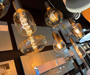 Innovation and Sustainability